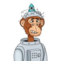 Scimmi astronauta, sta ad indicare l'essere umano. La scimmia nella testa ha nuvole di fumo e un razzo spaziale che vorrebbe partire ma non funziona, questo sta ad indicare la voglia di crescita personale ma l'attuale impossibilità di farlo.